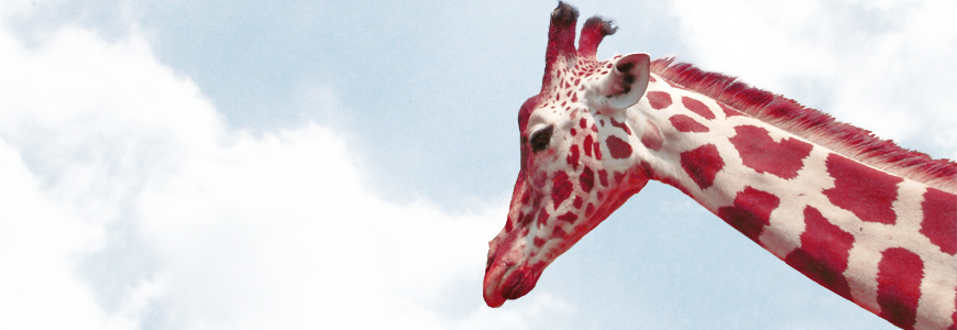 header.png
